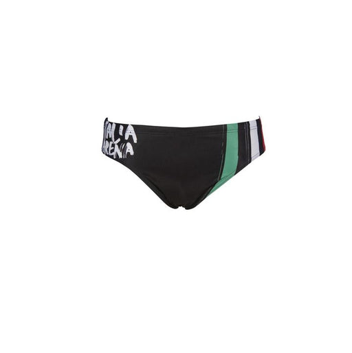 Arena Men's Country Flags Brief 