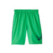 Nike Boys' Mash Up Lap 8in Volley Short