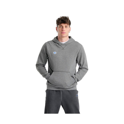 Arena Arena Icons Hooded Sweat Solid