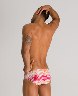 Arena Brief Multicolor Tripes  Competition Swimsuits  Arena
