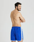 Arena Men's Icons Team Stripe Boxer  Boardshorts  Arena