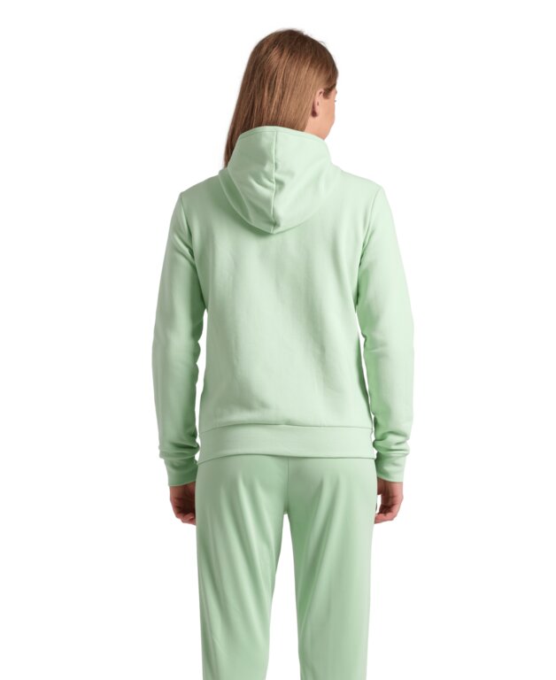 Arena Women Team Hooded Jacket Panel  Hoodie  Arena