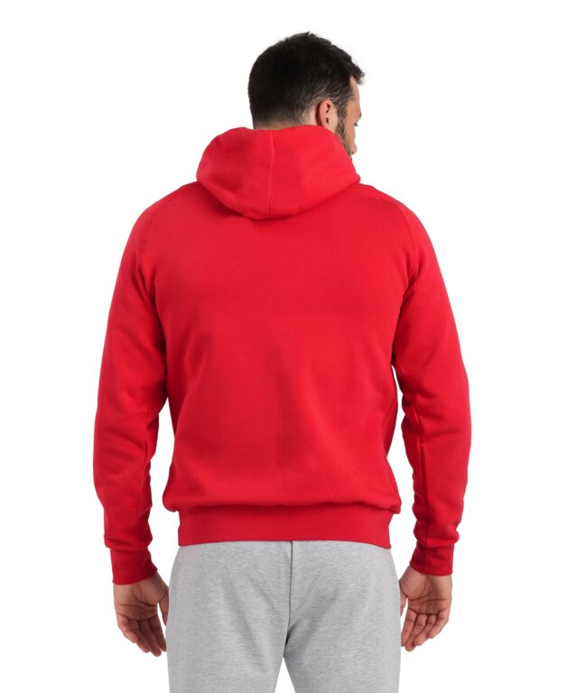 Arena Team Hooded Sweat Panel  Hoodie  Arena