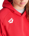 Arena Team Hooded Sweat Panel  Hoodie  Arena
