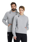 Arena Team Hooded Sweat Panel  Hoodie  Arena