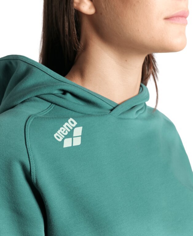 Arena Team Hooded Sweat Panel  Hoodie  Arena