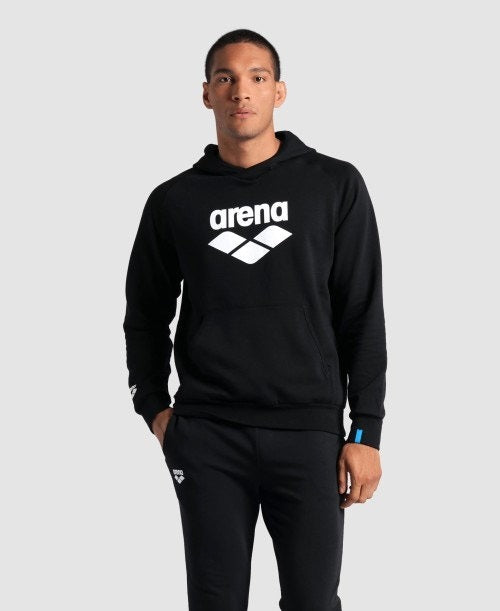 Arena Hooded Sweat Logo  Hoodie  Arena