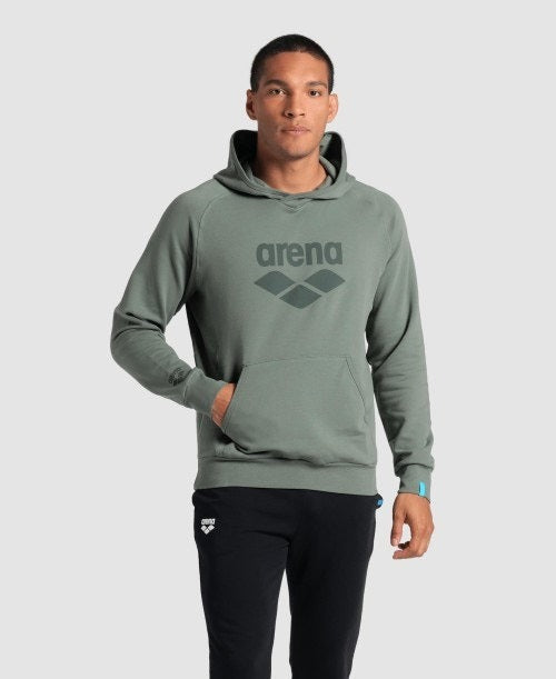 Arena Hooded Sweat Logo  Hoodie  Arena