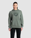 Arena Hooded Sweat Logo  Hoodie  Arena