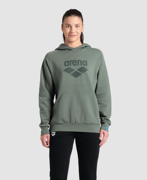 Arena Hooded Sweat Logo  Hoodie  Arena