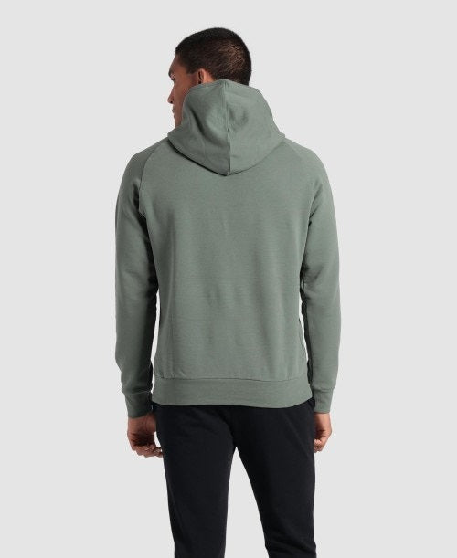Arena Hooded Sweat Logo  Hoodie  Arena