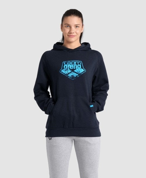 Arena Hooded Sweat Logo  Hoodie  Arena