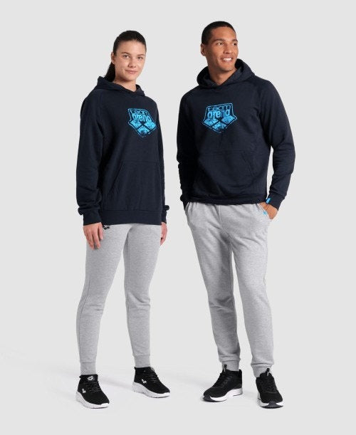 Arena Hooded Sweat Logo  Hoodie  Arena