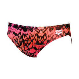 Arena Men's Swim Brief OMBRE  Swimming Briefs for Men  Arena