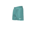 Nike Essential Lap 4 Volley Short  Boys Volley Shorts  Nike