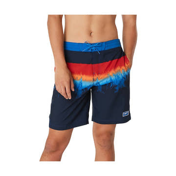 Speedo ABOVE THE TREES BONDI BASIN BOARDSHORT 20 IN  Boardshorts  Speedo