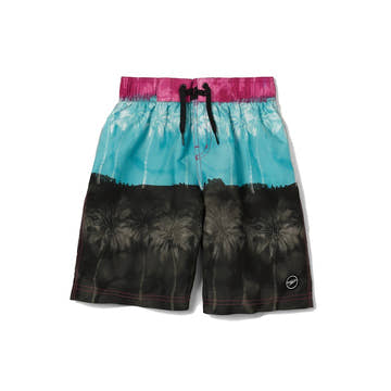 Speedo Print Boardshort 17  Boardshorts  Speedo