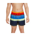 Speedo Men's Eco 4Way Comfort Stretch Board Shorts  Boardshorts  Speedo