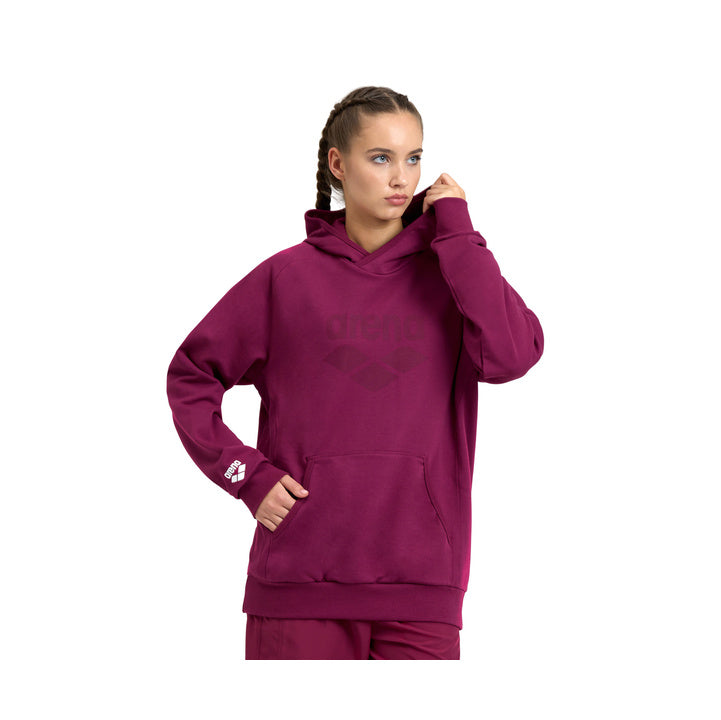 Arena Hooded Sweat Logo  Hoodie  Arena