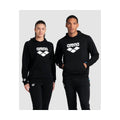 Arena Hooded Sweat Logo  Hoodie  Arena