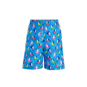 Dolfin Little Boys' Fin Floats Swim Trunks  Boys Swim Trunk  Dolfin