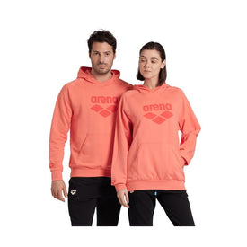 Arena Unisex Hooded Sweat Graphic  Hoodie  Arena