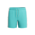 Speedo Men's Colorblock 16 Inch Volley Short  Men's Volley Short  Speedo