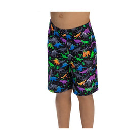 Dolfin Little Boys' Dinomite Swim Trunks  Boys Swim Trunk  Dolfin