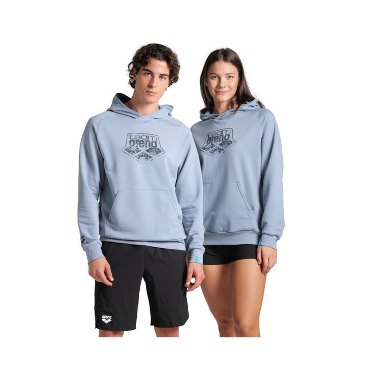 Arena Hooded Sweat Logo    Arena