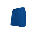 Nike Men's Fadeaway Essential 7-Inch Fully Lined Volley Short    Nike