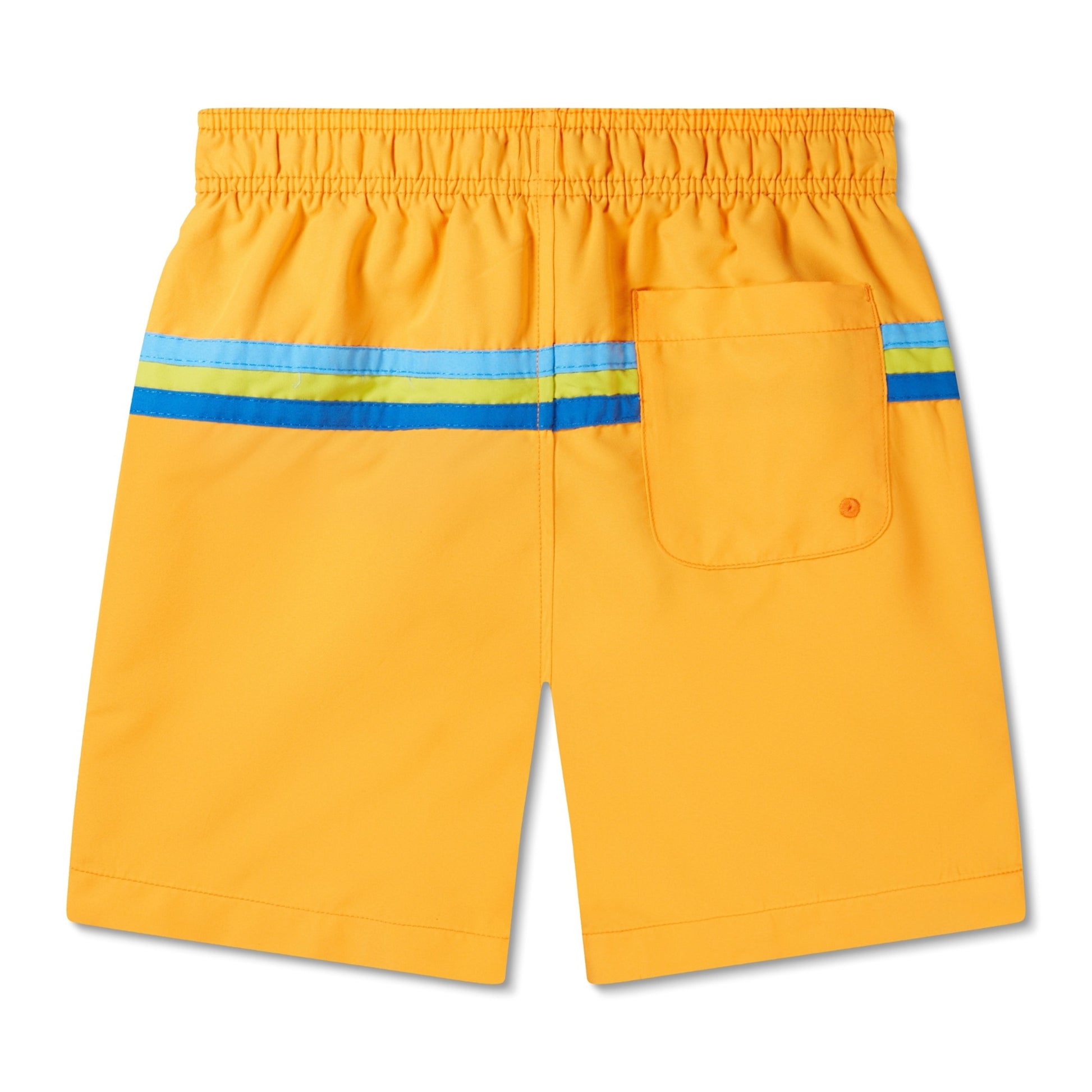 Speedo Kids Colorblock Redondo Volley 15 Inch  Boardshorts  Speedo
