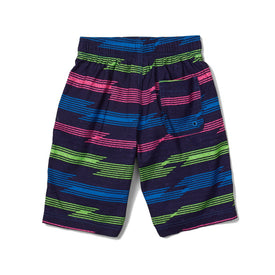 Speedo Men's Print Boardshort 17  Boardshorts  Speedo