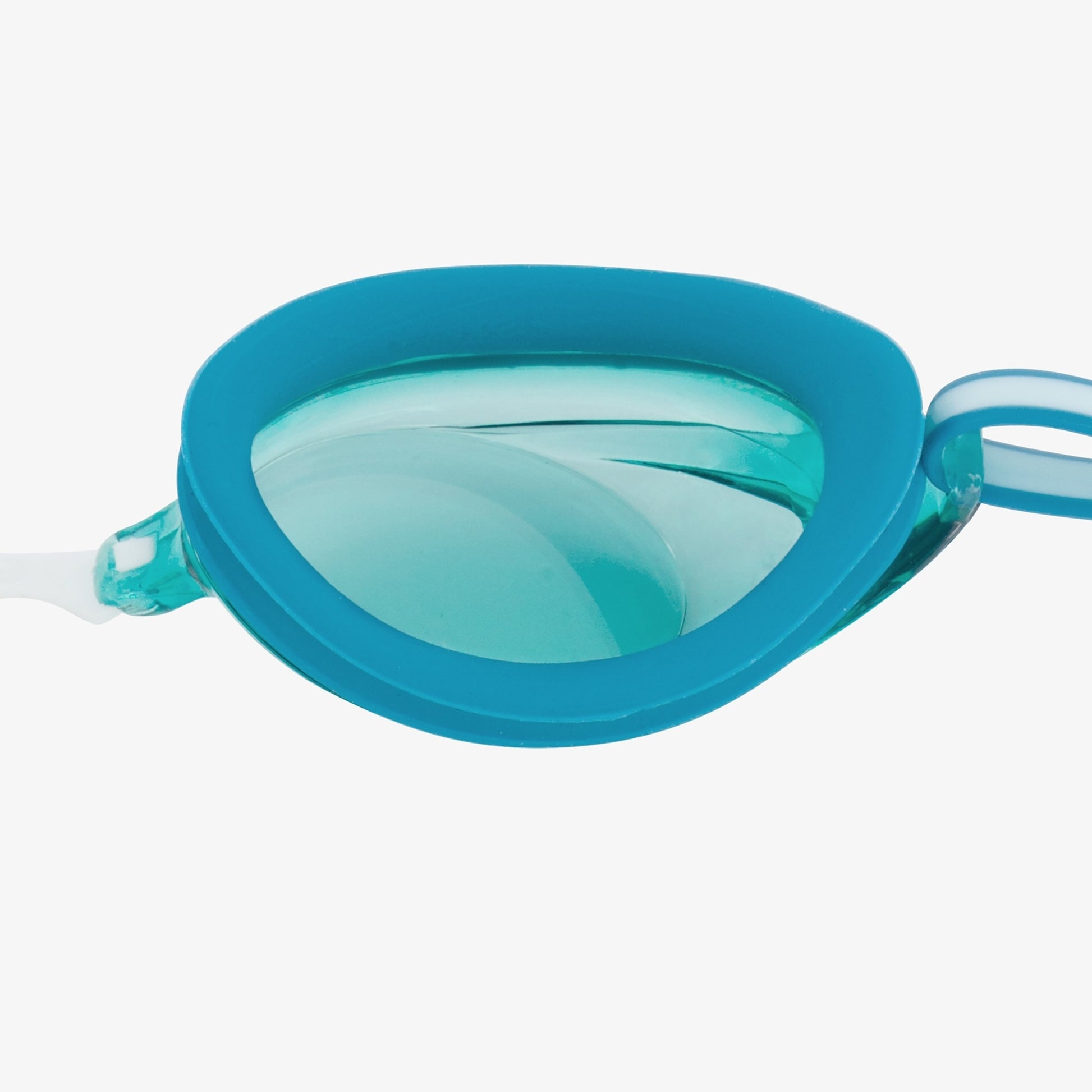 Speedo VANQUISHER 2.0 Goggles