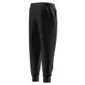 Speedo Men's Team Fleece Pants - 29