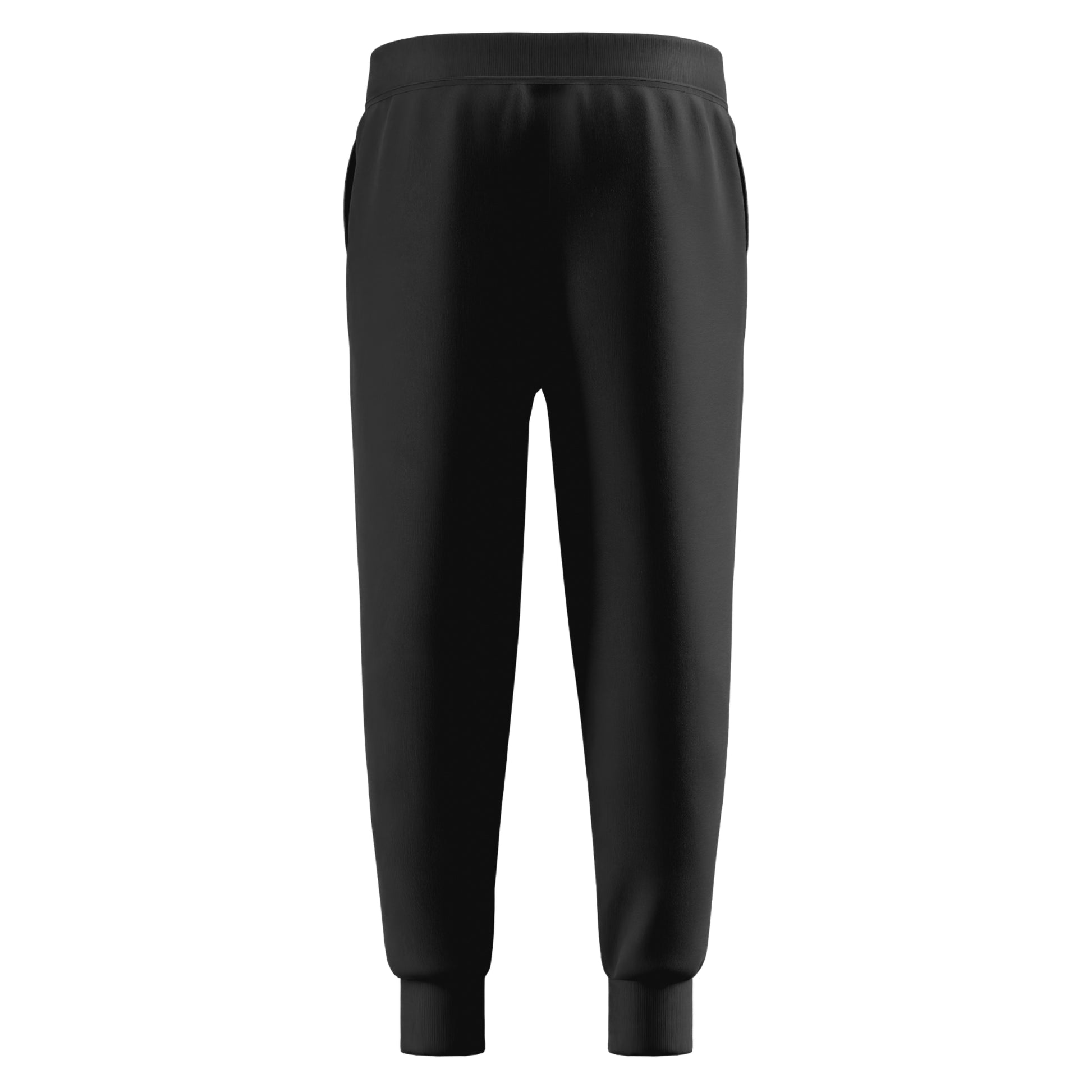 Speedo Men's Team Fleece Pants - 29" Inseam  Pants  Speedo