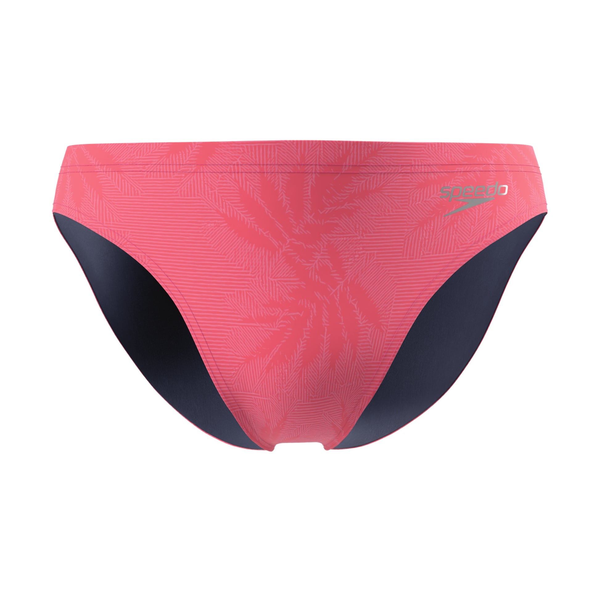 Speedo Men's Beachstar Print Brief 2 Inch  Swimming Briefs for Men  Speedo