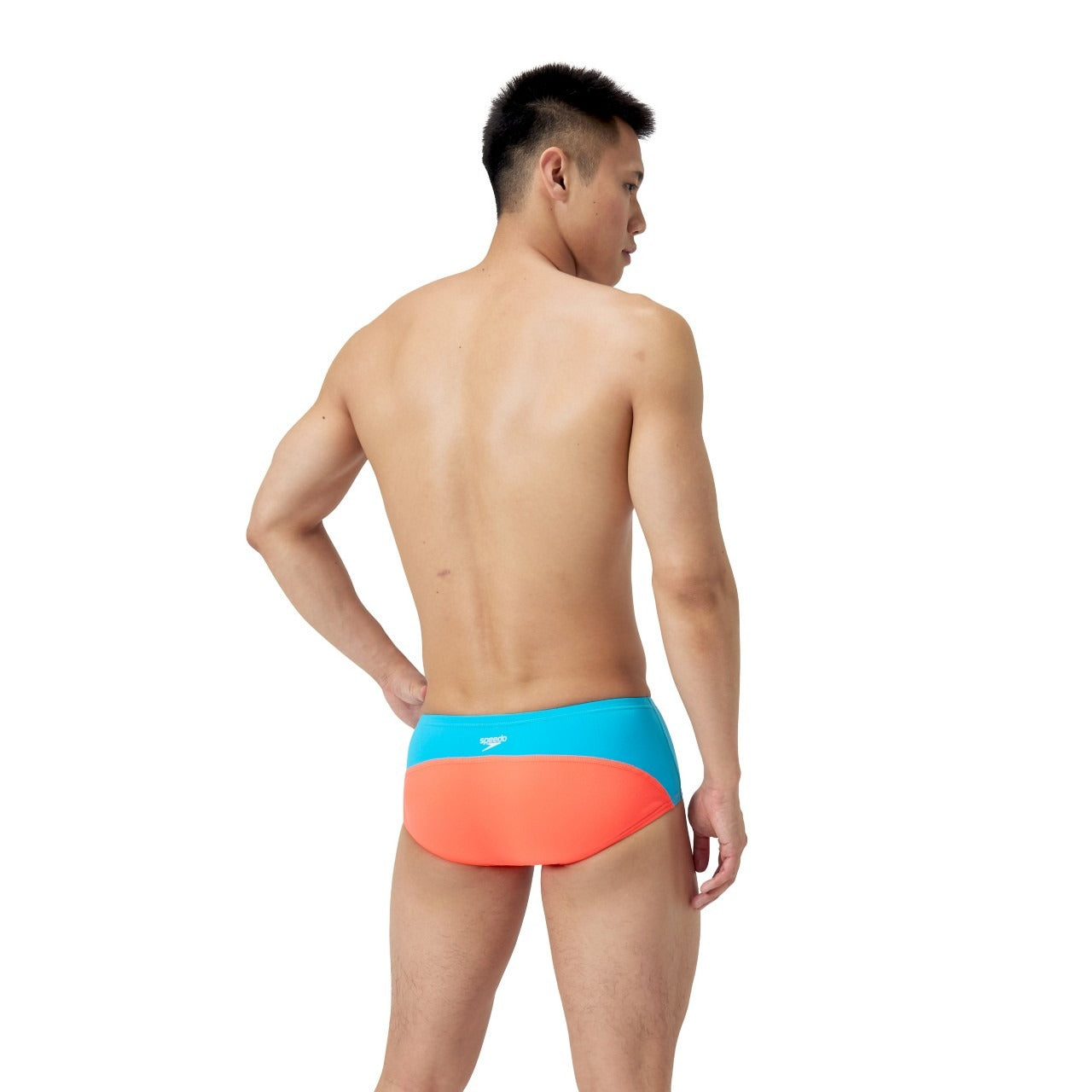 Speedo Color Block Euro Swim Brief  Swimming Briefs for Men  Speedo