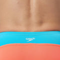 Speedo Color Block Euro Swim Brief  Swimming Briefs for Men  Speedo