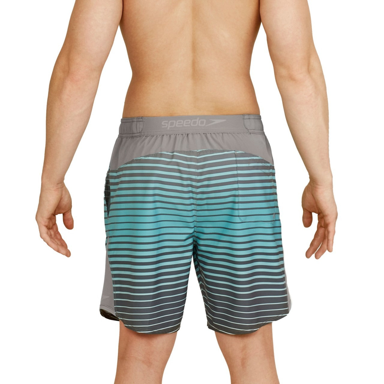 Speedo Inter Fusion Stripe  Boardshorts  Speedo