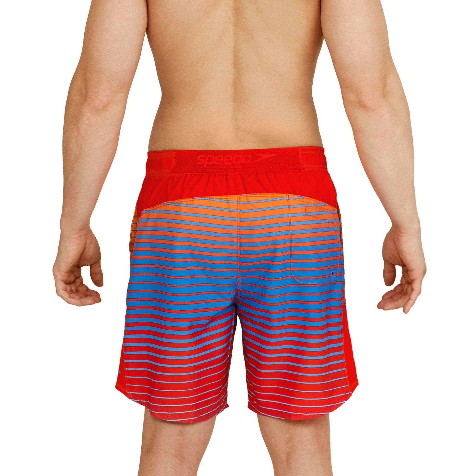 Speedo Inter Fusion Stripe  Boardshorts  Speedo