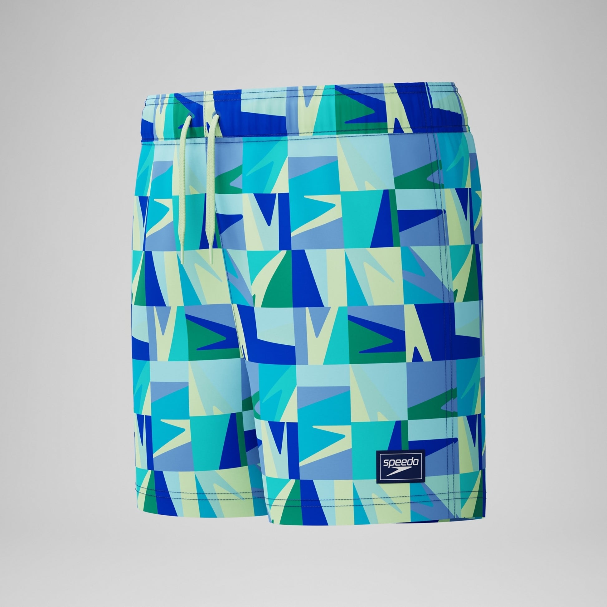 Speedo Boy's Print Swim Volley Shorts 13 Inch  Boys Boardshorts  Speedo