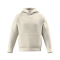 Speedo Unisex Team Fleece Hoodie  Hoodie  Speedo