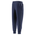 Speedo Men's Team Fleece Pants - 29