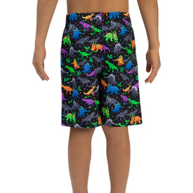 Dolfin Little Boys' Dinomite Swim Trunks  Boys Swim Trunk  Dolfin