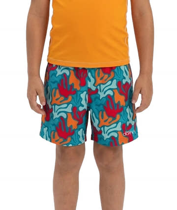 Dolfin Little Boys Swim Trunks - Hang Ten