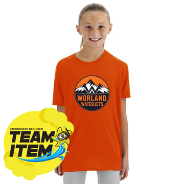 WWJ Tyr Youth Unisex Triblend Tee