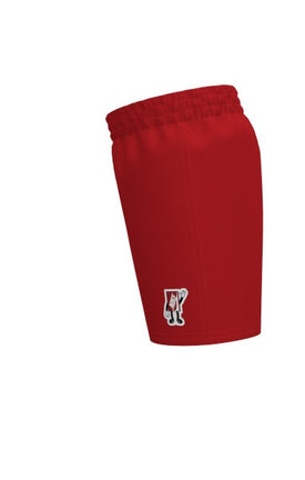 Nike Swim Breaker Little Boys Brief 5 Inch Volley Short  Boys Volley Shorts  Nike