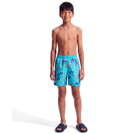 Nike Boys Swim Breaker Big Kids 6in Brief-Lined Volley Short  Boys Volley Shorts  Nike