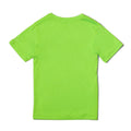 Speedo Boy's Shot Sleeve Graphic Swim Shirt  Kids Swimming Gear  Speedo