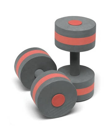 Speedo Aqua Fitness Barbells  Aquatic Fitness Equipment  Speedo